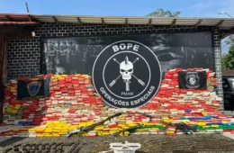 Polícia apreende 4,5 toneladas de skunk e armas de guerra no Amazonas
