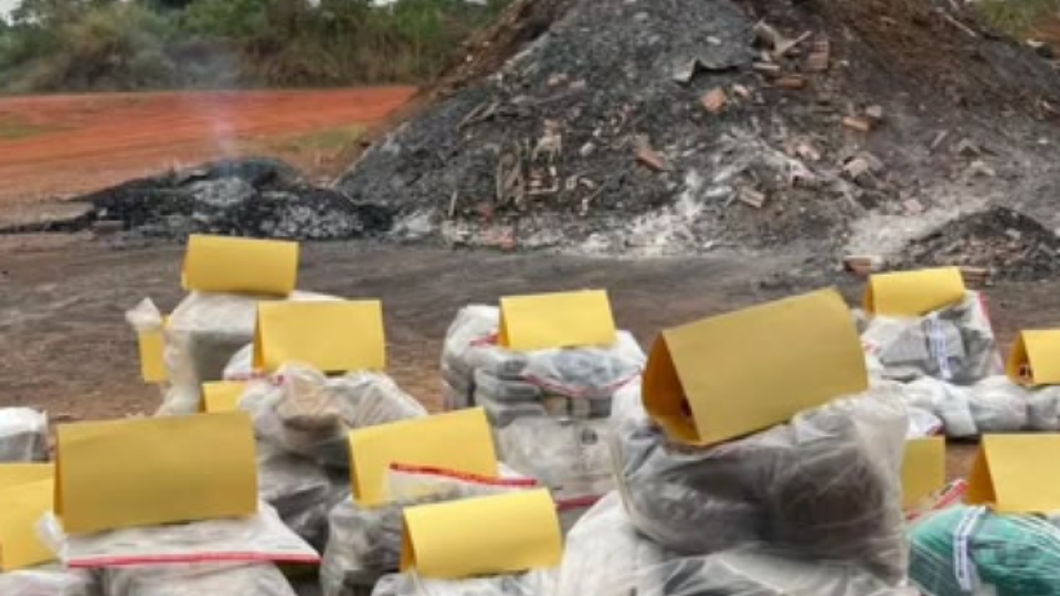 Polícia incinera mais de 645 kg de drogas apreendidas na fronteira de Rondônia