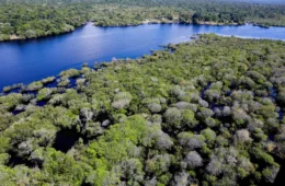Amazonas recebe nota péssima na proteção de defensores ambientais