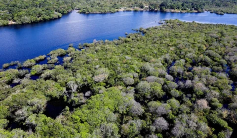 Amazonas recebe nota péssima na proteção de defensores ambientais