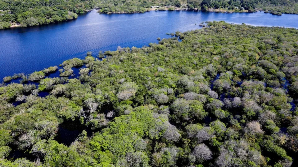 Amazonas recebe nota péssima na proteção de defensores ambientais