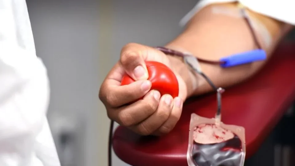 Testemunhas de Jeová mudam orientação sobre transfusões e doações de sangue