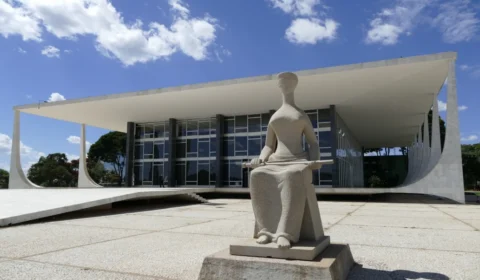 Novo aciona STF contra decisão de Dino que reconduziu Andrei à PF