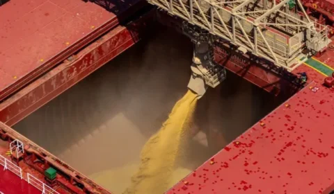 Brasil deve processar recorde de 63,5 milhões de toneladas de soja em 2026
