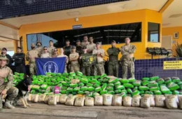 Casal é preso com quase meia tonelada de drogas escondida em caminhão de mudança em MT
