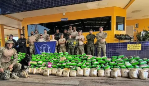 Casal é preso com quase meia tonelada de drogas escondida em caminhão de mudança em MT