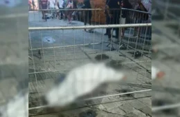 Mulher trans morre após ser esfaqueada próximo à Praça da República, em Belém
