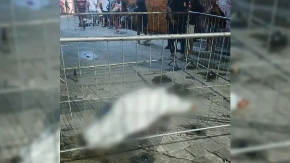 Mulher trans morre após ser esfaqueada próximo à Praça da República, em Belém