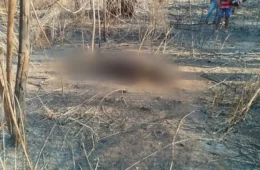 Corpo de homem é encontrado carbonizado às margens de rodovia no Tocantins