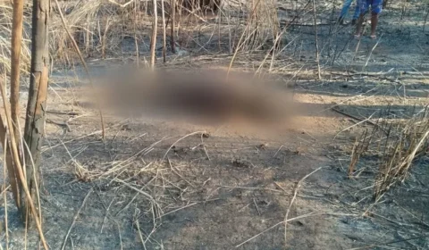 Corpo de homem é encontrado carbonizado às margens de rodovia no Tocantins