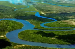 Mineradora mira terras-raras e urânio em área próxima a Abrolhos, na Bahia