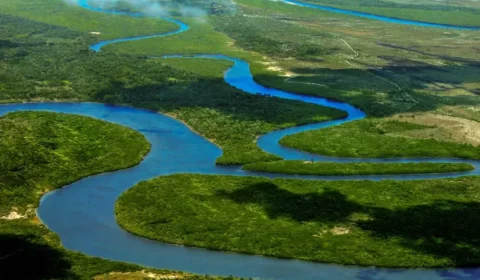 Mineradora mira terras-raras e urânio em área próxima a Abrolhos, na Bahia