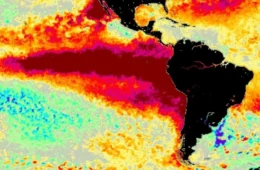 Super El Niño pode provocar 857 mil mortes no mundo; Brasil tem 26,7 mil óbitos estimados