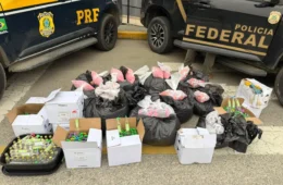 PF e PRF apreendem 59 kg de drogas que abasteceriam tráfico na Região dos Lagos