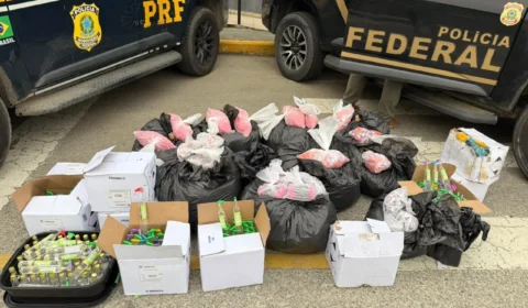 PF e PRF apreendem 59 kg de drogas que abasteceriam tráfico na Região dos Lagos