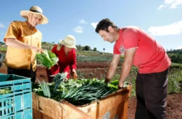 Edital de R$ 181 mi vai financiar agricultura familiar em cidades do Rio Doce
