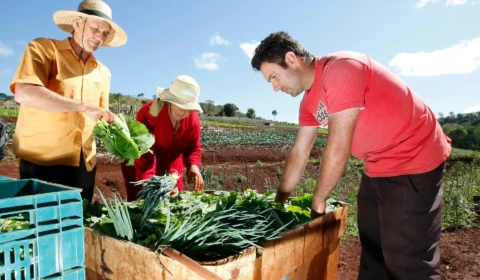 Edital de R$ 181 mi vai financiar agricultura familiar em cidades do Rio Doce