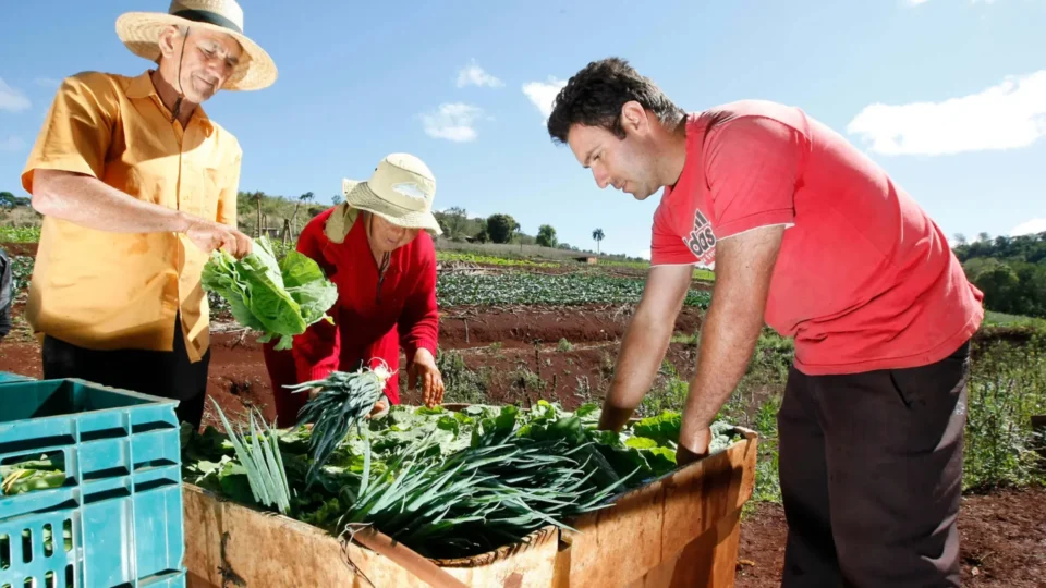 Edital de R$ 181 mi vai financiar agricultura familiar em cidades do Rio Doce