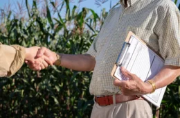 Dívida rural: nova regra do CMN aumenta disputa entre produtores e bancos