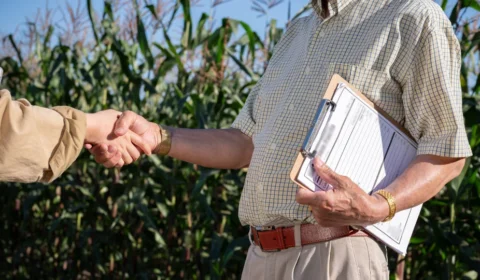 Dívida rural: nova regra do CMN aumenta disputa entre produtores e bancos