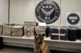 PF apreende quase 390 kg de drogas em caminhão que saiu de São Paulo