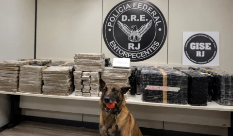 PF apreende quase 390 kg de drogas em caminhão que saiu de São Paulo