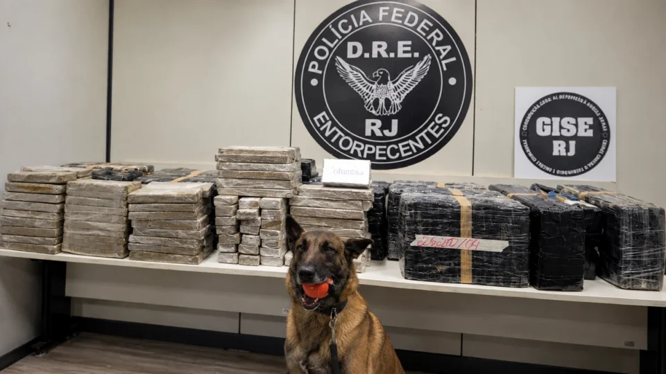 PF apreende quase 390 kg de drogas em caminhão que saiu de São Paulo