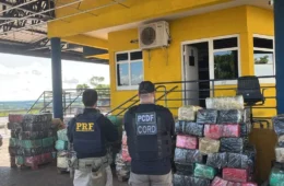 Polícia apreende 3,5 toneladas de skunk escondidas em caminhão em Goiás