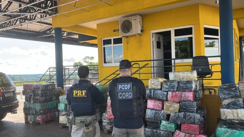 Polícia apreende 3,5 toneladas de skunk escondidas em caminhão em Goiás