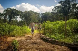 Após 10 anos, Justiça determina retomada de ação sobre território quilombola no Pará