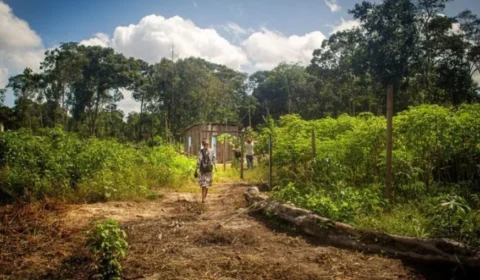 Após 10 anos, Justiça determina retomada de ação sobre território quilombola no Pará