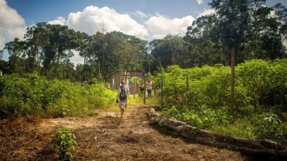 Após 10 anos, Justiça determina retomada de ação sobre território quilombola no Pará