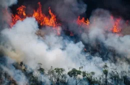 Governo federal anuncia mais cinco aeronaves para combater incêndios no Amazonas