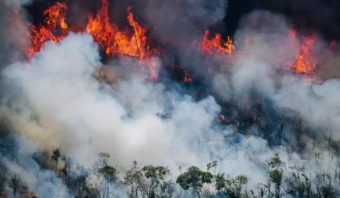 Governo federal anuncia mais cinco aeronaves para combater incêndios no Amazonas