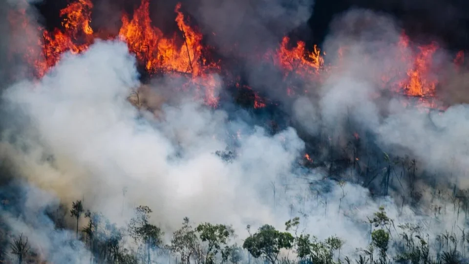 Governo federal anuncia mais cinco aeronaves para combater incêndios no Amazonas