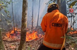 Projeto prevê multas de até R$50 mil por queimadas irregulares no DF