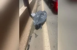 Suspeito rouba moto e morre 16 minutos depois no Anel de BH