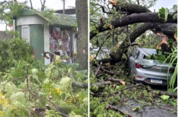 Temporal deixa 45 mil imóveis sem energia em Belo Horizonte nesta segunda-feira (26)