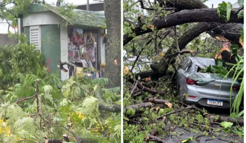 Temporal deixa 45 mil imóveis sem energia em Belo Horizonte nesta segunda-feira (26)