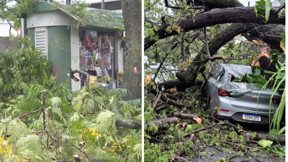 Temporal deixa 45 mil imóveis sem energia em Belo Horizonte nesta segunda-feira (26)