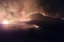 Incêndio destrói áreas de reflorestamento e mata animais em território indígena de MG