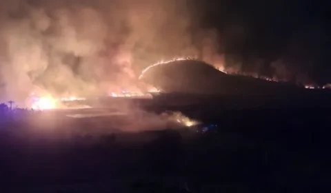 Incêndio destrói áreas de reflorestamento e mata animais em território indígena de MG