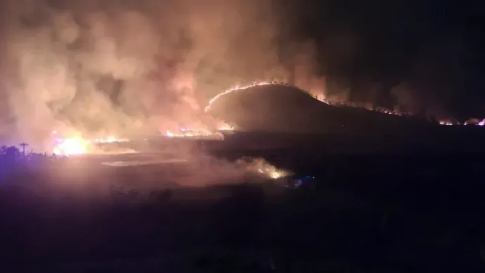 Incêndio destrói áreas de reflorestamento e mata animais em território indígena de MG