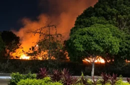 Incêndio atinge área verde da UFRN e novos focos são relatados em Natal