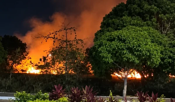 Incêndio atinge área verde da UFRN e novos focos são relatados em Natal