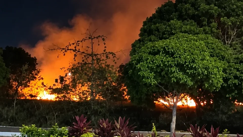 Incêndio atinge área verde da UFRN e novos focos são relatados em Natal