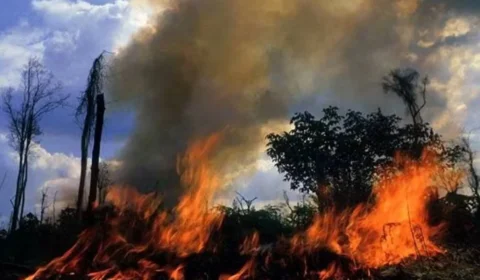 Incêndios no AM atingem Porto Velho e prejudicam qualidade do ar