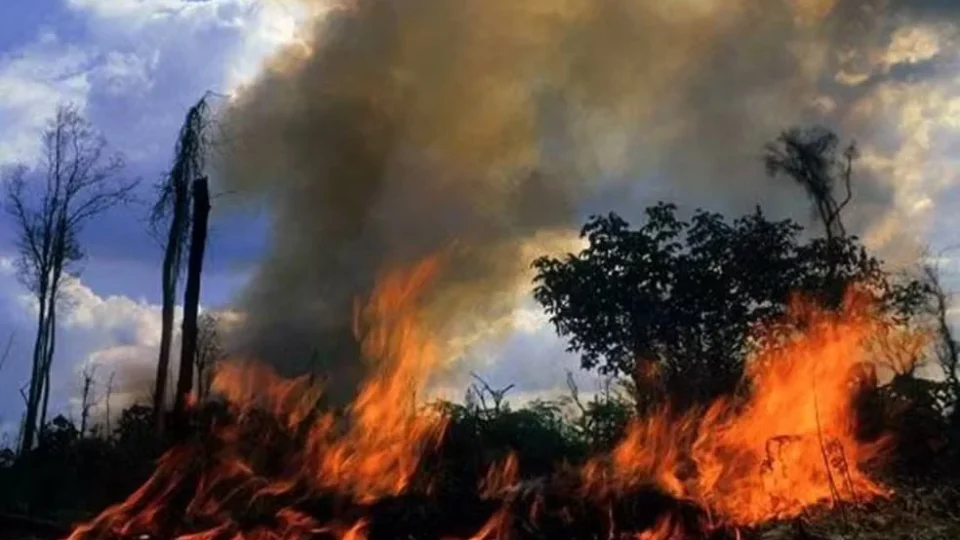 Incêndios no AM atingem Porto Velho e prejudicam qualidade do ar