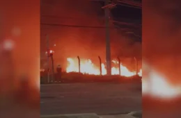 Incêndios aumentam 271% e colocam 36 cidades do Amazonas em emergência