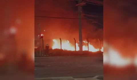 Incêndios aumentam 271% e colocam 36 cidades do Amazonas em emergência